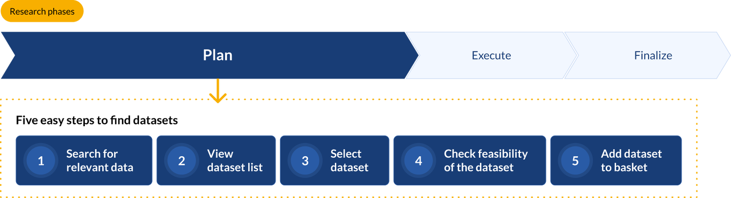 lens to search
